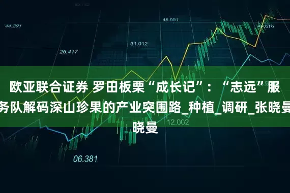 欧亚联合证券 罗田板栗“成长记”：“志远”服务队解码深山珍果的产业突围路_种植_调研_张晓曼