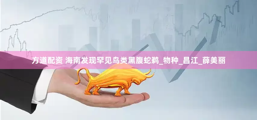 方道配资 海南发现罕见鸟类黑腹蛇鹈_物种_昌江_薛美丽