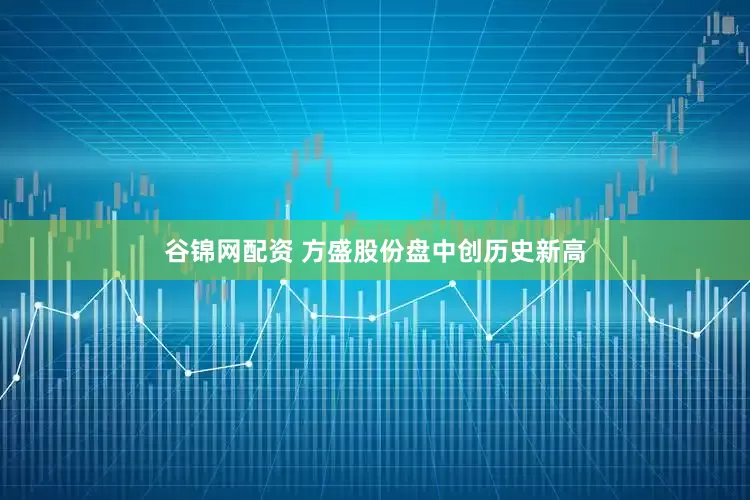 谷锦网配资 方盛股份盘中创历史新高