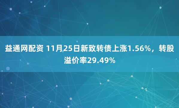 益通网配资 11月25日新致转债上涨1.56%，转股溢价率29.49%