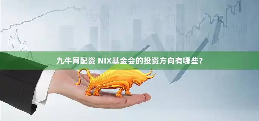 九牛网配资 NIX基金会的投资方向有哪些？
